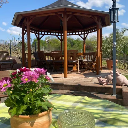 Im Weinhof Martin Apartmán