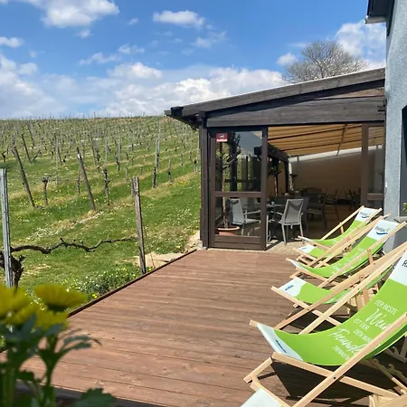 Apartmán Im Weinhof Martin Eltville am Rhein