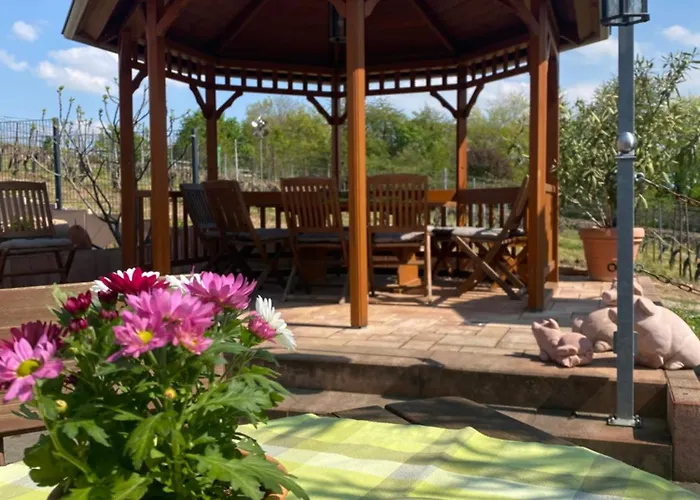 Im Weinhof Martin Apartment