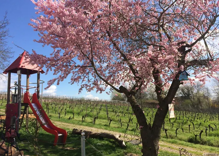 Im Weinhof Martin Apartmán